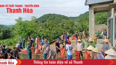 Các cấp Hội LHPN tích cực tham gia khắc phục hậu quả sau mưa bão