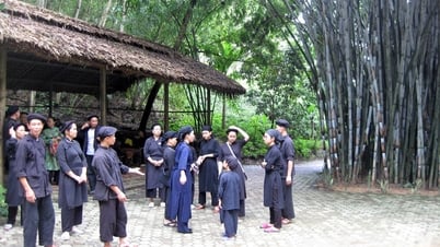 Vững vàng từ cội rễ