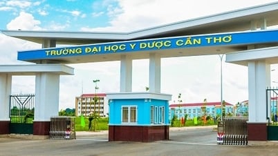 Trường Đại học Y Dược Cần Thơ lấy điểm sàn cao nhất 20,5