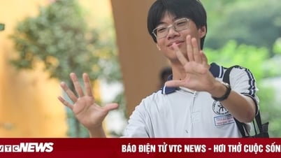 Bách phân vị là gì mà khiến 23,75 điểm D01 bằng 26,75 điểm C00?
