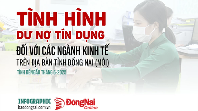 [Infographic] Cơ cấu tín dụng các ngành kinh tế trên địa bàn tỉnh Đồng Nai hiện tại ra sao?
