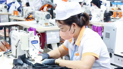 Ngành dệt may khởi sắc, công nhân yên tâm làm việc
