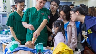 Điểm sàn Đại học Y Dược TPHCM giảm mạnh, lấy từ 17 điểm