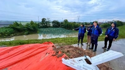 Khẩn trương xử lý các sự cố mặt đê Hữu Cầu, Hà Nội
