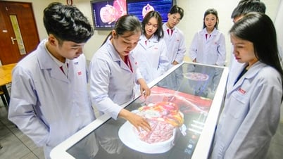 Trường ĐH Quốc tế Hồng Bàng công bố điểm sàn nhóm ngành sức khỏe 
