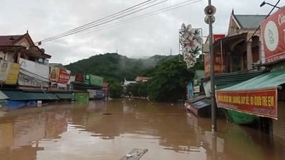 Sau bão số 3, biển Đông đón áp thấp nhiệt đới