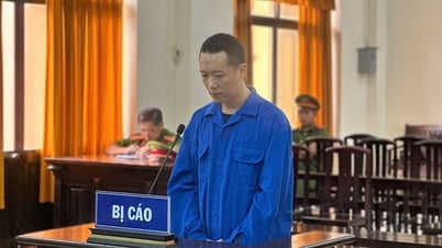 2 bị cáo lãnh 50 năm tù về tội tàng trữ, mua bán ma túy