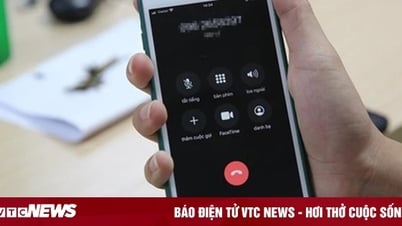 Vì sao kẻ lừa đảo có thể rút tiền trong tài khoản qua cuộc điện thoại?