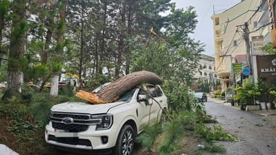 Thiệt hại ban đầu do bão số 3