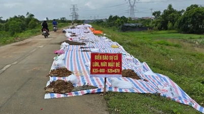 Một tuyến đê trọng yếu của Hà Nội bị sụt lún nghiêm trọng