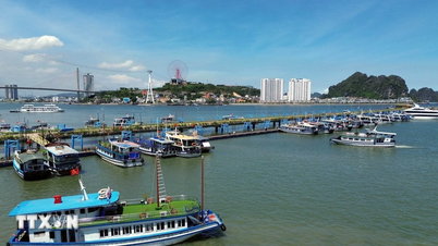 Hiệp hội Du lịch tỉnh Quảng Ninh cam kết phục vụ an toàn cho du khách