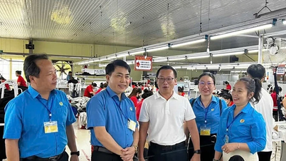 Liên đoàn Lao động tỉnh nắm bắt tình hình tại các công đoàn cơ sở doanh nghiệp