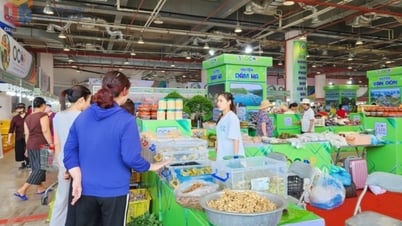 حماية العلامة التجارية للمنتج