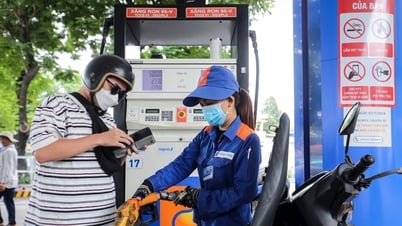 Giá dầu Brent, WTI "đổ đèo": Việt Nam có tận dụng được cơ hội giảm giá?