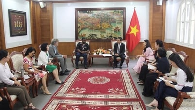 Việt Nam thể hiện cam kết mạnh mẽ trong bảo tồn, phát huy giá trị của di sản tư liệu