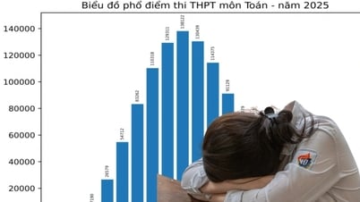 Điểm toán "hủy diệt" giấc mơ đại học: Đề khó hay học lệch?
