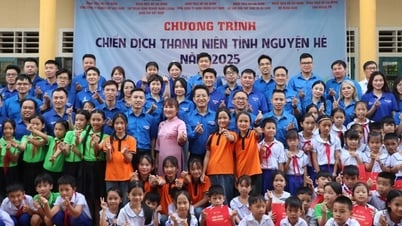 Đoàn Thanh niên Bộ VHTTDL phối hợp tổ chức chương trình Chiến dịch Thanh niên Tình nguyện Hè