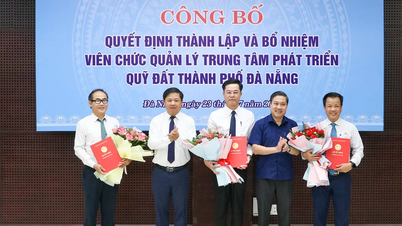 Đà Nẵng thành lập Trung tâm Phát triển quỹ đất