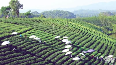 Thái Nguyên - từ cội nguồn bản sắc đến hành trình hội nhập