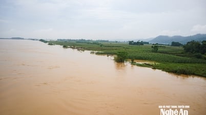 Các địa phương vùng hạ du Nghệ An chủ động ứng phó trước lũ thượng nguồn đổ về