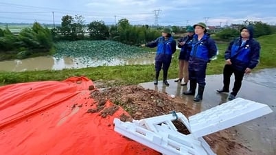 Hai vị trí đê bị lún nứt nghiêm trọng ở Hà Nội