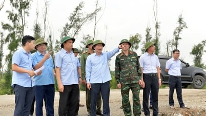 Thành ủy Hải Phòng chỉ đạo tập trung khắc phục hậu quả bão số 3