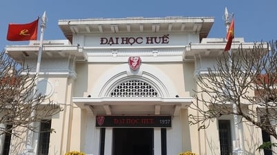 Đại học Huế công bố điểm sàn, ngành Kỹ thuật và Công nghệ tạo bất ngờ