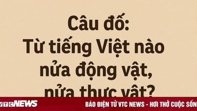 Từ Tiếng Việt nào tên nửa động vật, nửa thực vật?