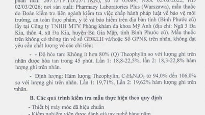 Thu hồi toàn quốc thuốc giả Theophylline 100mg điều trị hen
