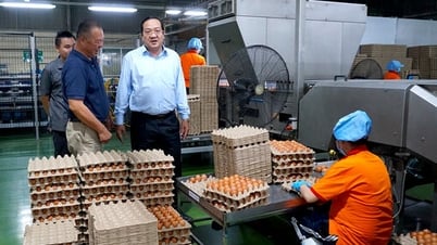 Phó Chủ tịch UBND tỉnh Nguyễn Minh Lâm khảo sát các trang trại chăn nuôi tiêu biểu tại xã Trà Vong và xã Tân Biên