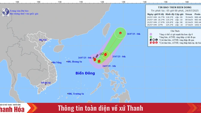 Bão số 4 di chuyển theo hướng Nam Đông Nam, giật cấp 11, Thanh Hóa có mưa to