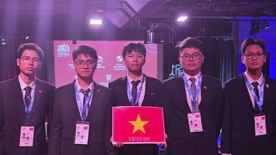 Le Vietnam a remporté 1 médaille d'or, 4 médailles d'argent et est entré dans le top 10 de l'Olympiade internationale de physique 2025