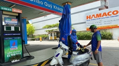 PVOIL thí điểm bán xăng sinh học E10 RON95 tại Hải Phòng