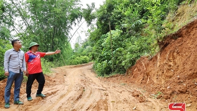 Chủ động các phương án phòng, chống thiên tai