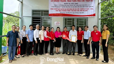 Khắp nơi trong tỉnh chiều 24-7-2025