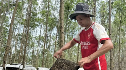 Theo những mùa hoa nở...