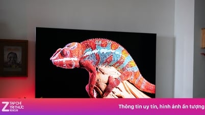 Worauf sollte ich beim Kauf eines neuen Fernsehers achten?