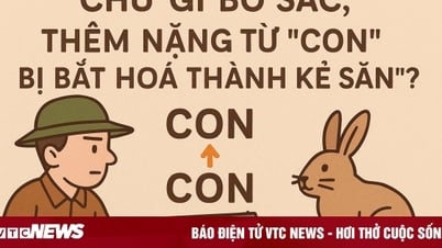 Chữ gì bỏ sắc, thêm nặng, từ con bị bắt hóa thành kẻ săn?