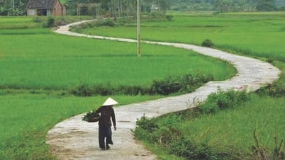 Đá ngòi