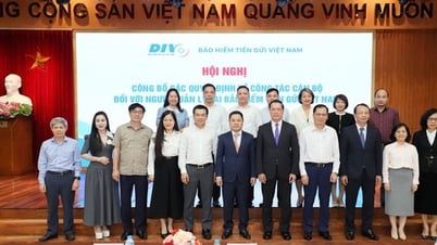Bổ nhiệm nhân sự chủ chốt Bảo hiểm tiền gửi Việt Nam