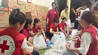 Hội Chữ thập đỏ Việt Nam cứu trợ khẩn cấp người dân vùng lũ Nghệ An