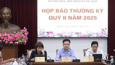 Bộ Văn hóa, Thể thao và Du lịch nói gì sau vụ lật tàu du lịch trên Vịnh Hạ Long?