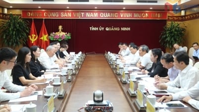 Thu hút đầu tư