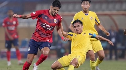 VPF và VFF vẫn loay hoay vụ CLB Quảng Nam bỏ V-League