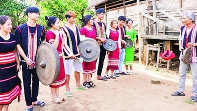 เสียงแห่งป่าและการเดินทางเพื่อรักษาไฟให้คงอยู่