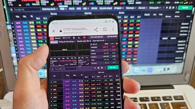 Chuyên gia lý giải lý do nhà đầu tư thua lỗ khi VN-Index lập đỉnh