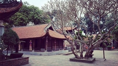 Chùa Vĩnh Nghiêm - trường đại học Phật giáo đầu tiên