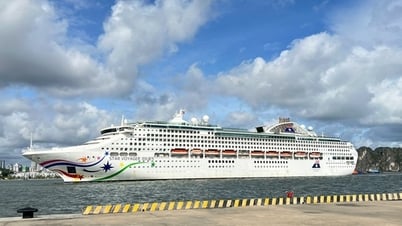 Quảng Ninh đón hơn 1.200 du khách tàu biển sau bão