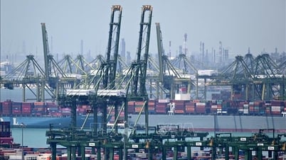 Quan hệ thương mại Việt Nam - Singapore khởi sắc rõ rệt
