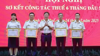 6/17 khoản thu đạt cao so với dự toán được giao